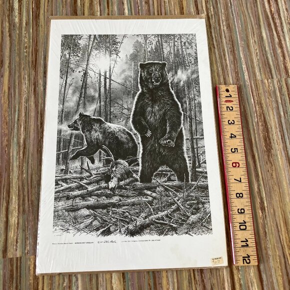 Morning Mist Grizzlies Art Print Bill O'Neill 1977 B&W Nature Bear Wildlife - Picture 3 of 4